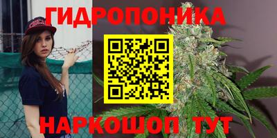 хмурый Свободный