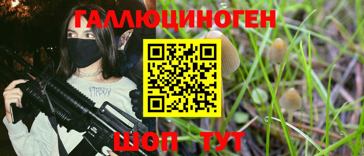 Галлюциногенные грибы мицелий  Вход с VPN  Новодвинск 