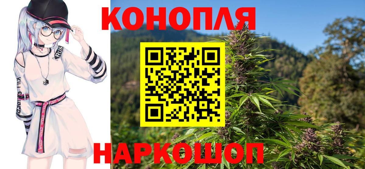 Бошки марихуана конопля Новодвинск